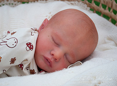 Reborn Babies with Painted Hair