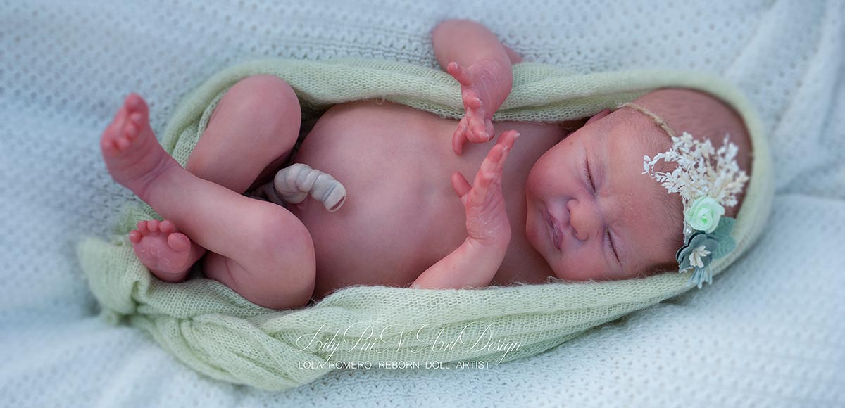 Newborn Reborn Baby with 3D Painted Hair, Closed Eyes and Belly Plate